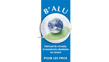 b alu